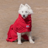 Dogrobes are the easy way to dry your dog after outdoor adventures, swimming and bathing. They dry dogs quickly and protect surroundings from wet shake off. Our winner Pip will receive a Dogrobe, and there will be Dogrobes vouchers for 2nd and 3rd placed pets Bisto and Tilly. For more information on Dogrobes call 0800 151 3188 or see dogrobes.co.uk.