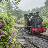 Hop aboard a steam train on the Talyllyn Railway at Tywyn Wharf. Image: DarrenTurnerPhotography/Shutterstock