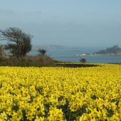 A view of the mystical St Michael's Mount, Image: Adam Gibbard