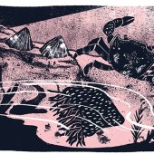 Illustration from February 2016 coast magazine