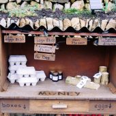 Honesty box. Image: Jacob Little