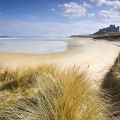 bamburgh_castle2c_northumberland_vb26079401-min