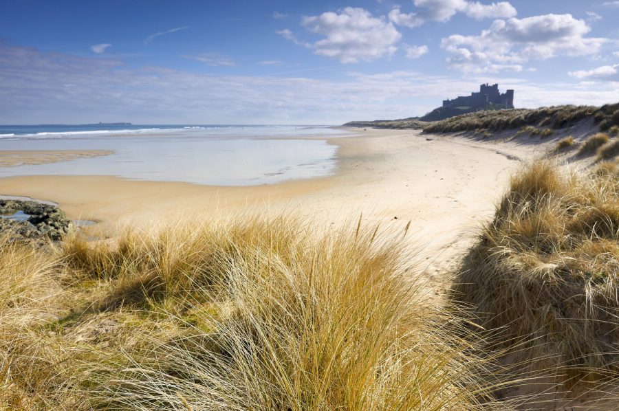 bamburgh_castle2c_northumberland_vb26079401-min