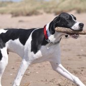 Will loving the coast at Prestwick Beach Scotland. Karen Legg