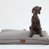 Thanks to Ivy & Duke for our winners’ prizes: At Ivy & Duke you’ll find high quality memory foam and pocket-sprung dog beds handcrafted in the UK. Our winner will receive a dog bed of their choice, plus there’s a travel mat for second prize, and a blanket for third. For more information, see ivyandduke.co.uk