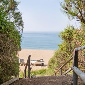 hive_beach-1_v2