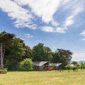 Safari tents