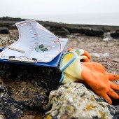 clipboard_and_gloves