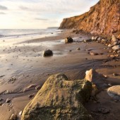dino_footprint_brook_bay_isle_of_wight_credit_www