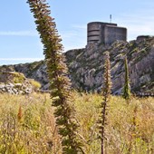 alderney_german_fortification_2_cropped