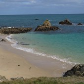 img_2612_cropped