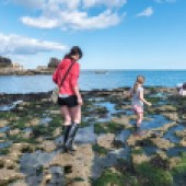 Rockpooling at Souter Lighthouse Photo: Paul Harris/National Trust Images