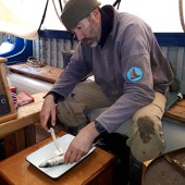 Henry shows the group how to prepare mackerel for lunch