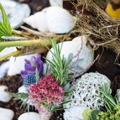 bytheseaflowers-216_cropped