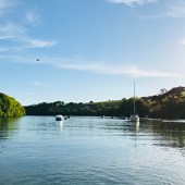 Watch the boats on South Pool