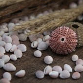 These sea urchins result in a fantastic textured finished piece