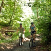 Try a bike ride through the woodland