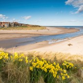 Alnmouth Bay