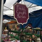 Galway Market