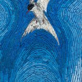 arctic_tern