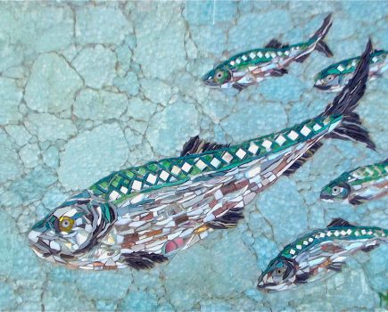 herring_56x40