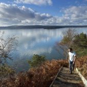 a_visitor_on_the_south_shore_of_brownsea_island_dorset_cnational_trust_