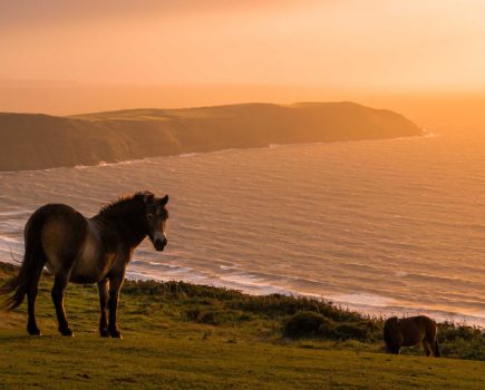 potters_hill_and_woolacombe_bay_3