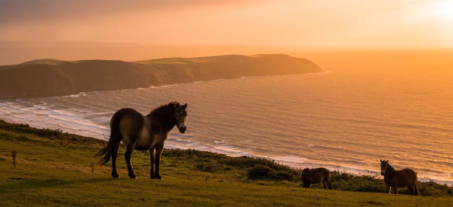 potters_hill_and_woolacombe_bay_3