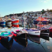 wing_newlyn_harbour_300
