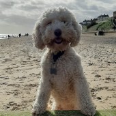 porridge_southwold