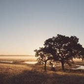 rebecca_douglas_elmley_nature_reserve_sunrise_tuesday_30th_june_2015_-148