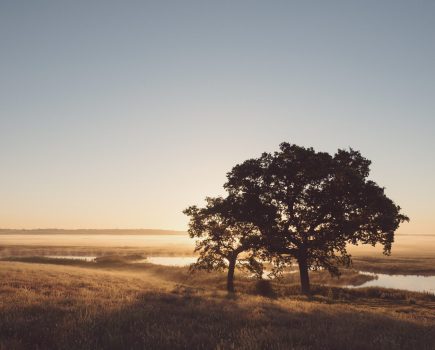 rebecca_douglas_elmley_nature_reserve_sunrise_tuesday_30th_june_2015_-148