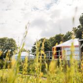yurts_at_fir_hill_estate_2