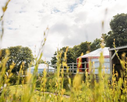yurts_at_fir_hill_estate_2
