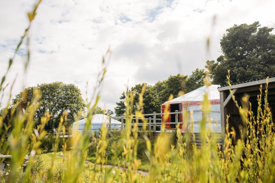 yurts_at_fir_hill_estate_2