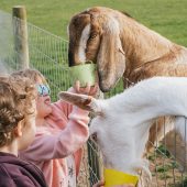 6a_croft_farm