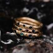 Treasurer rings. Photograph Georgina Piper