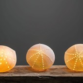 Amy's Porcelain Urchin Lamps. Photograph Paul Mounsey