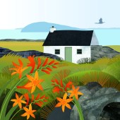 cormorant_and_crocosmia_copyright_rachel_hudson_illustration