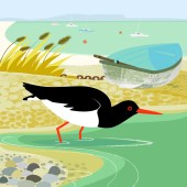 oystercatcher_and_old_boat