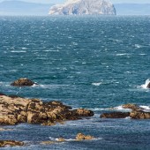 View out to sea