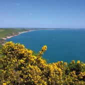 South Devon Coast