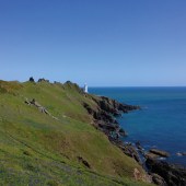 South Devon Coast