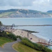 Ammonite filmed in Lyme Regis, Dorset.