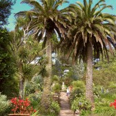 Tresco Gardens