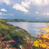 shona-33-min