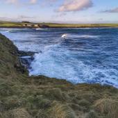 Shapinsay