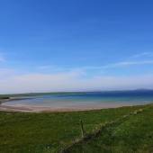 shapinsay_img_20200529_122612-min
