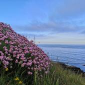 shapinsay_img_20200616_195818-min