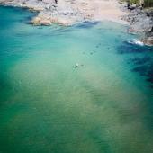 FOR… REWILDING WITH NATURE - SOUTH HAMS, DEVON